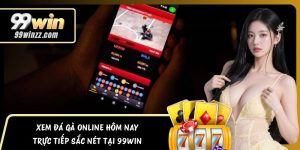 Xem Đá Gà Online Hôm Nay – Trực Tiếp Sắc Nét Tại 99WIN
